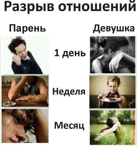 Стадии в отношениях между девушкой и парнем Стадии в отношениях между девушкой и парнем