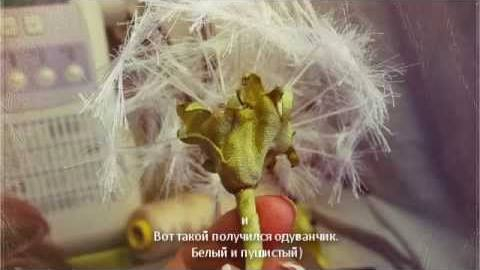 Видео МК Клоун в чулочной технике - Мастер-класс на витамин-п-байкальский.рф