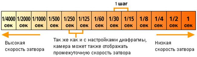 Фотография с нуля. Уроки фотошколы «Мир цифровой фотографии»