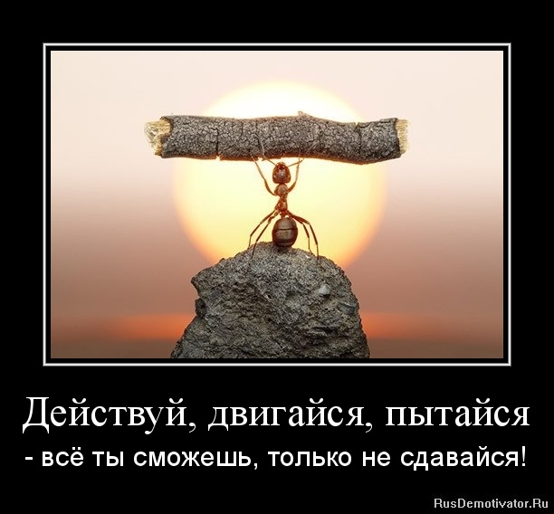 Мы сплотили свои силы Мы сплотили свои силы
