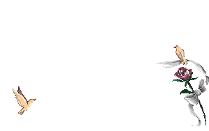 0_9bd0a_9e3175a3_M (300x188, 111Kb)