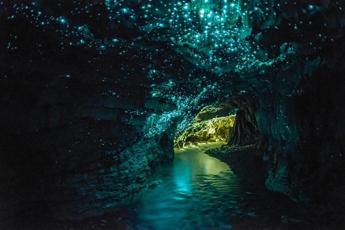 Пещера-светлячков-Новая-Зеландия (700x467, 108Kb)