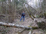  IMG_20150504_143143_1CS (700x525, 446Kb)