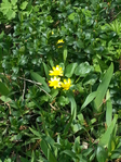 20150417_124938 (525x700, 528Kb)