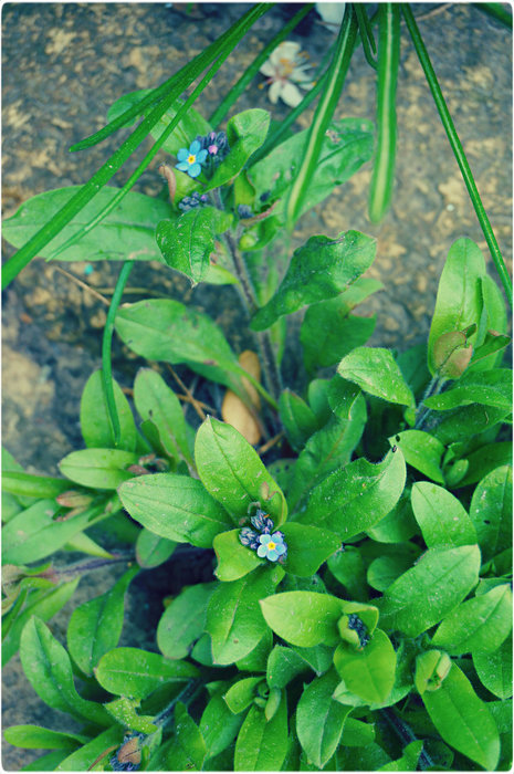 10 (465x700, 118Kb)