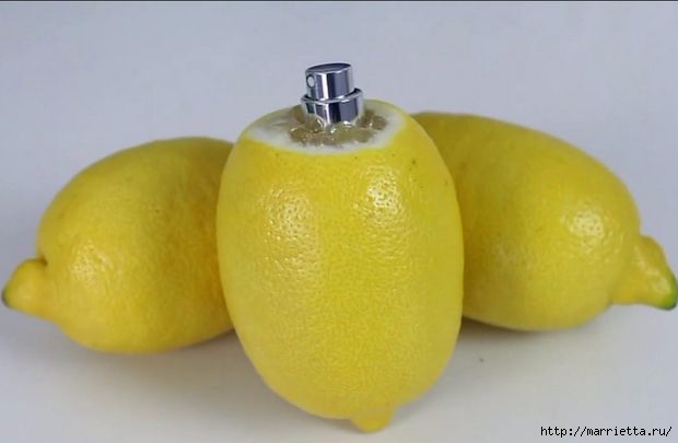 Лимонный распылитель своими руками (7) (620x405, 74Kb)