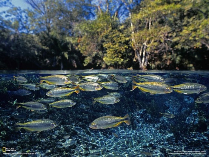 national geographic фотографии 12