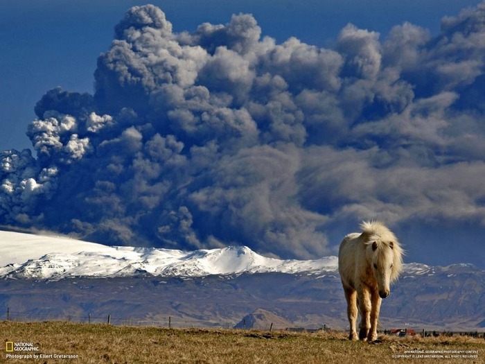 national geographic фотографии 66