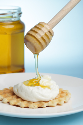 /4278666_4968373597_bc84819750_Waffle_with_Greek_yogurt_and_honey_M (333x500, 74Kb)