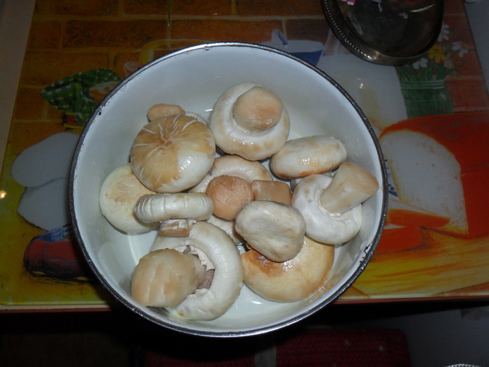 вознесение 2011 007 (700x525, 87Kb)