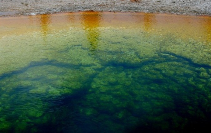 Йеллоустонский национальный парк (Yellowstone National Park), Вайоминг, 1 июня 2011 года./2270477_19_1_ (675x428, 77Kb)