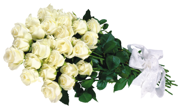 белые розы  23 шт. (600x370, 336Kb)
