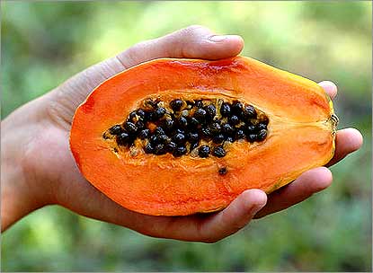fruit_Papaya415 (415x304, 19Kb)