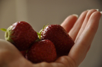  _DSC0239 (700x464, 278Kb)
