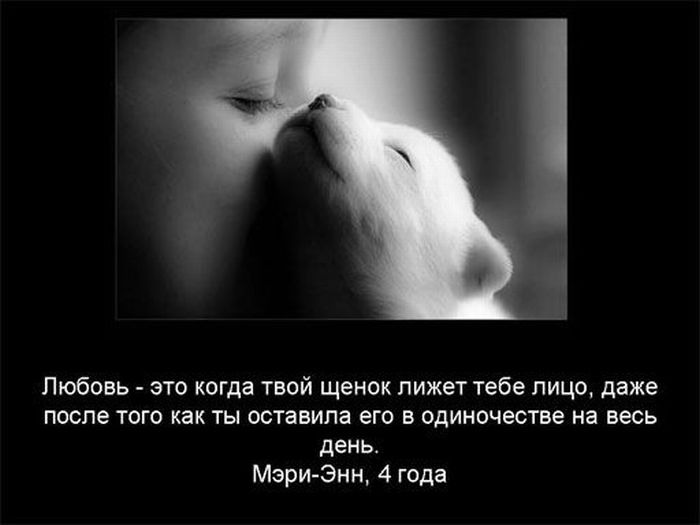 Любовь или разлука Любовь или разлука