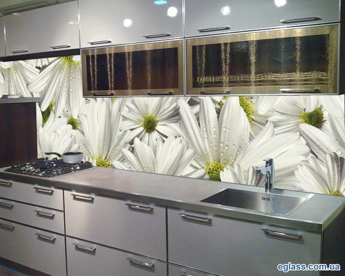 Отделка кухни и стеклянный фартук 1295023412_kitchen-daisywheel-glass (700x561, 81Kb)