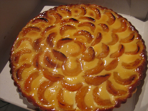   /4278666_93674665_3bdceeece1_apricot_pie_M (500x375, 122Kb)