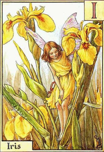 Азбука цветочных фей от Cicely Mary Barker!!!!классные феечки 1273152170_9(1) (342x500, 71Kb)