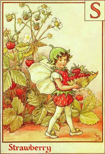 Азбука цветочных фей от Cicely Mary Barker!!!!классные феечки 1273152187_23(1) (343x500, 62Kb)