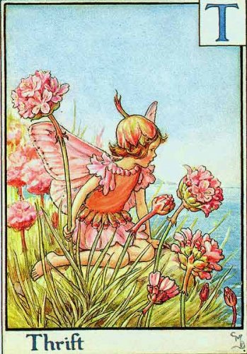 Азбука цветочных фей от Cicely Mary Barker!!!!классные феечки 1273152206_24(1) (349x500, 65Kb)