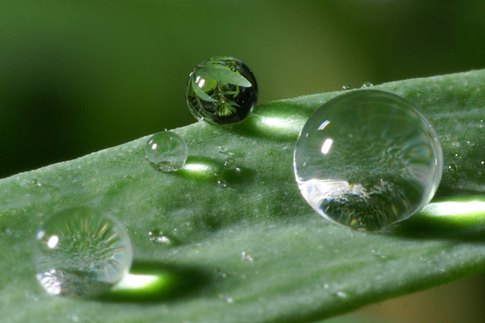 03_drops (700x466, 93Kb)