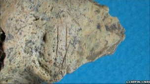 110621120022_ukraine_fossils_304x171_bbc_nocredit (304x171, 21Kb)