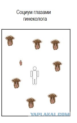 post-2-13087341808413 (268x423, 13Kb)