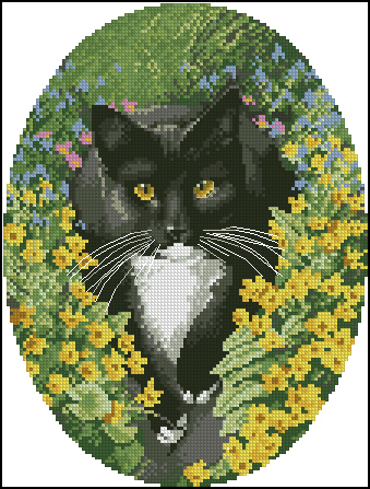 HeritageJSBL346-Black_and_White_Cat_yellow_eyes (339x447, 190Kb)