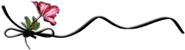 6fb4d03e2ba7 (367x100, 25Kb)