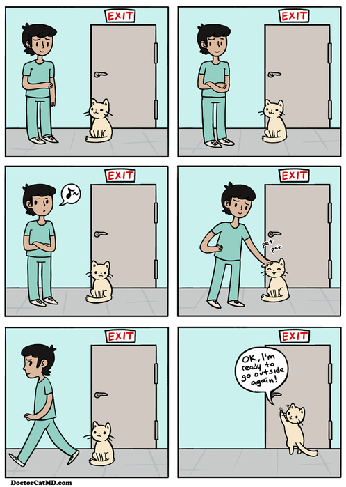2011-07-01-doctor-cat-makes-up-his-mind (498x700, 147Kb)