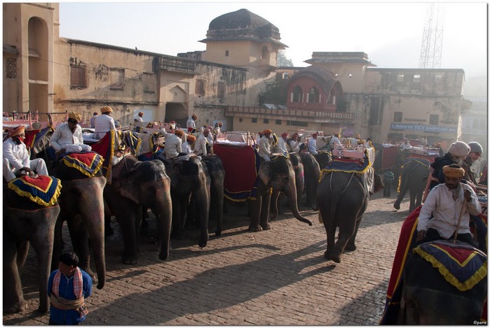 Форт Амбер (Amber Fort) 77831