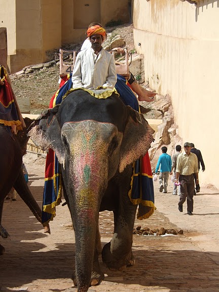 Форт Амбер (Amber Fort) 84182