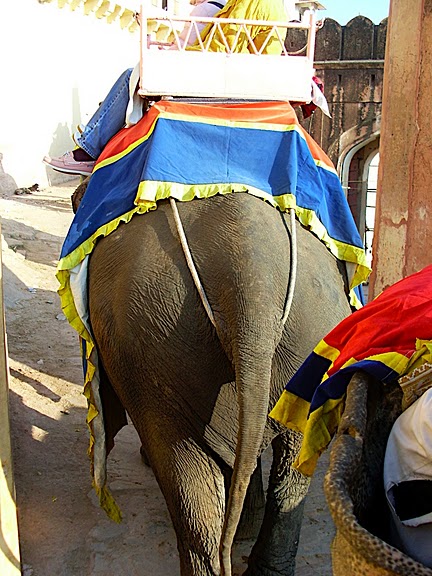 Форт Амбер (Amber Fort) 78075