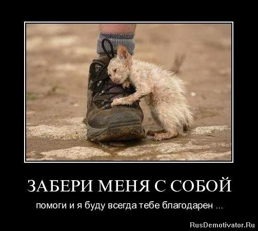 3089600_post115834_img1_1_ (503x450, 40Kb)