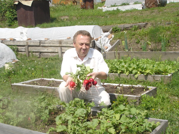 Замечательный огород Игоря Лядова.