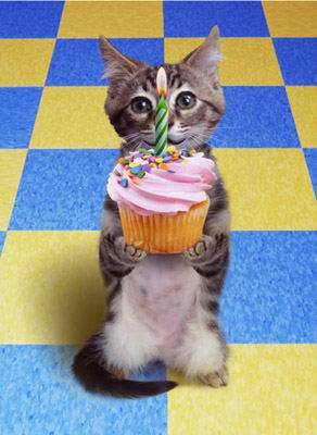 imagine cat birthday (292x400, 21Kb)