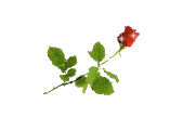 10 (169x108, 4Kb)