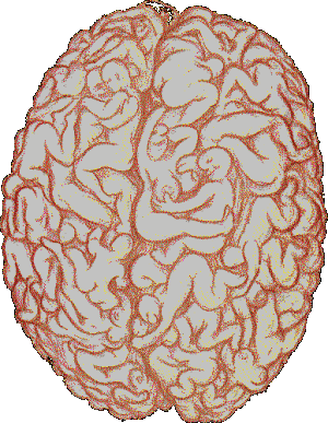 1516529_post21098309519 (300x387, 91Kb)