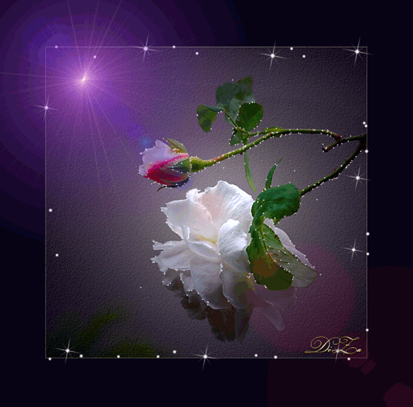 http://img0.liveinternet.ru/images/attach/c/3/75/953/75953246_d48ca90e8960.gif