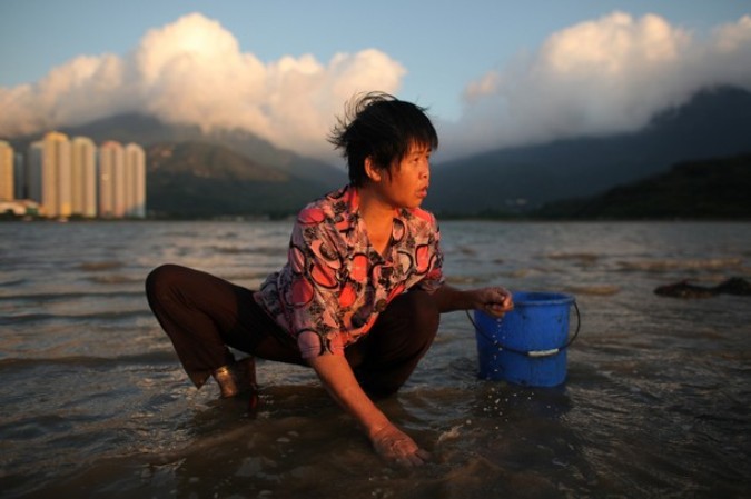 Откапывание моллюсков на острове Лантау, Гонконг, 3 июля 2011 года.