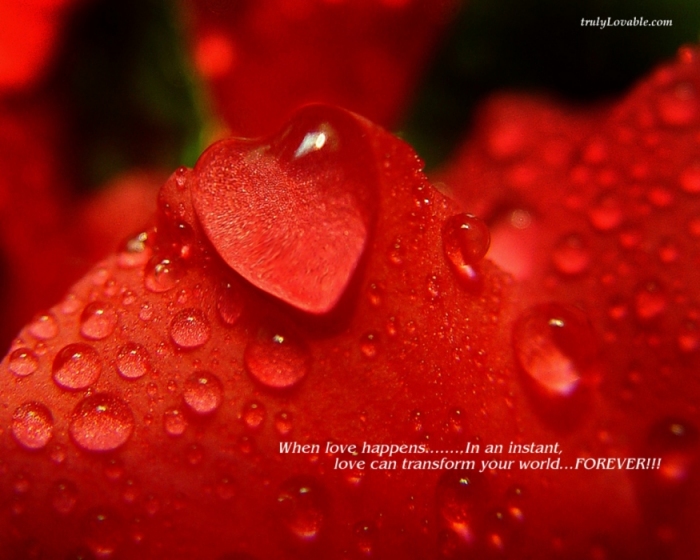 3475948_798-when-love-happens (700x560, 208Kb)
