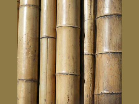 bamboo_pole (450x338, 95Kb)