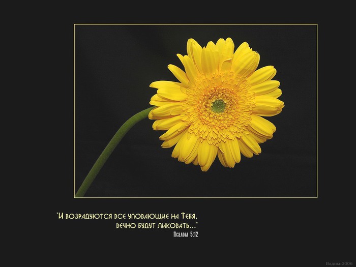 photo10 (700x525, 48Kb)