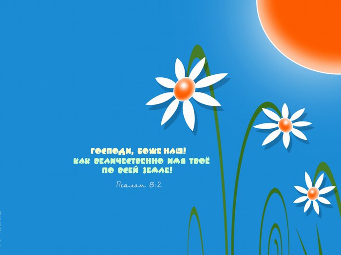 photo50 (700x525, 41Kb)