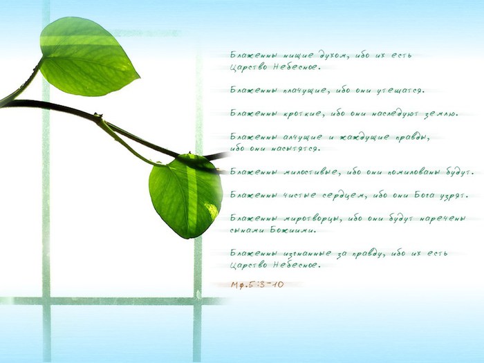 photo83 (700x525, 55Kb)