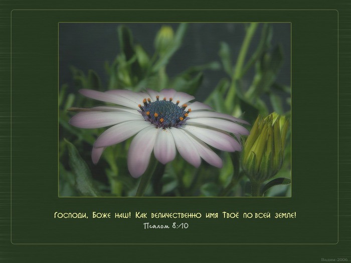 photo91 (700x525, 55Kb)