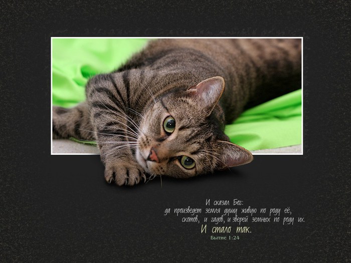 photo139 (700x525, 80Kb)