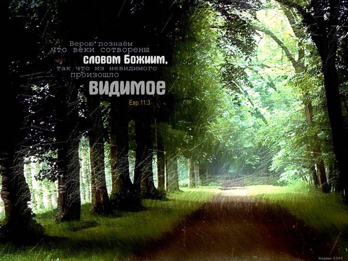 photo152 (700x525, 129Kb)