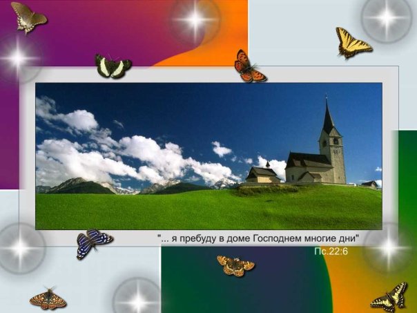 x_116edab8 (604x453, 46Kb)