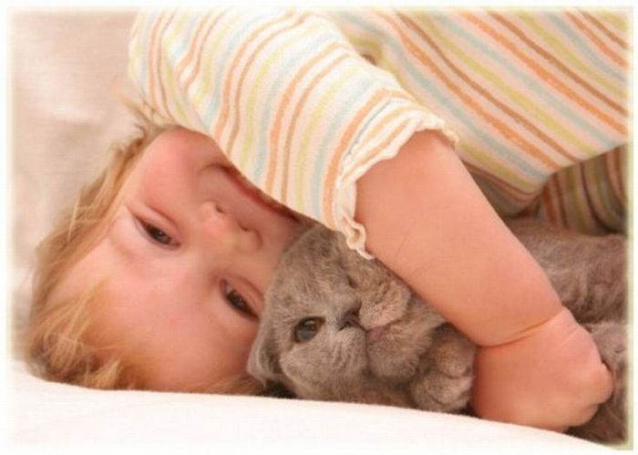 Котенок малыш может Котенок малыш может